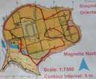 MAP-LineOrienteeringjpg.jpg